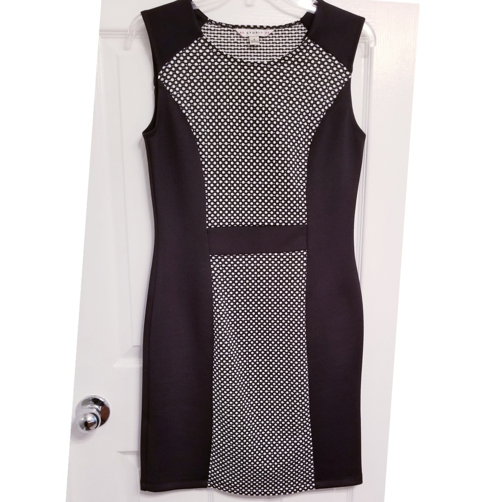 🍁 AA Studio AA Dress